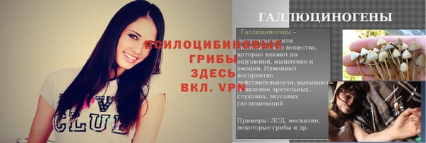 соль ск Каменногорск