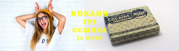 крисы Каменка