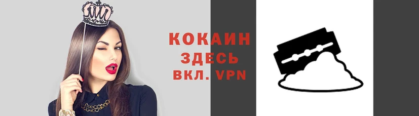 крисы Каменка