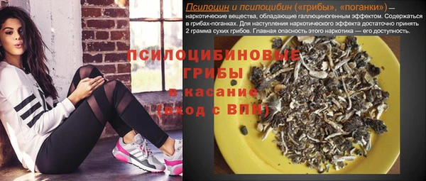 бошки Кинешма
