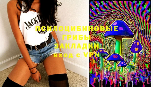 бошки Кинешма