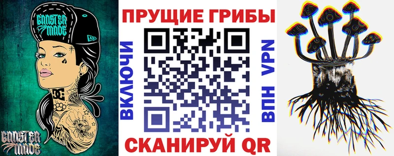 где можно купить наркотик  блэк спрут сайт  Псилоцибиновые грибы MAGIC MUSHROOMS  Чишмы 